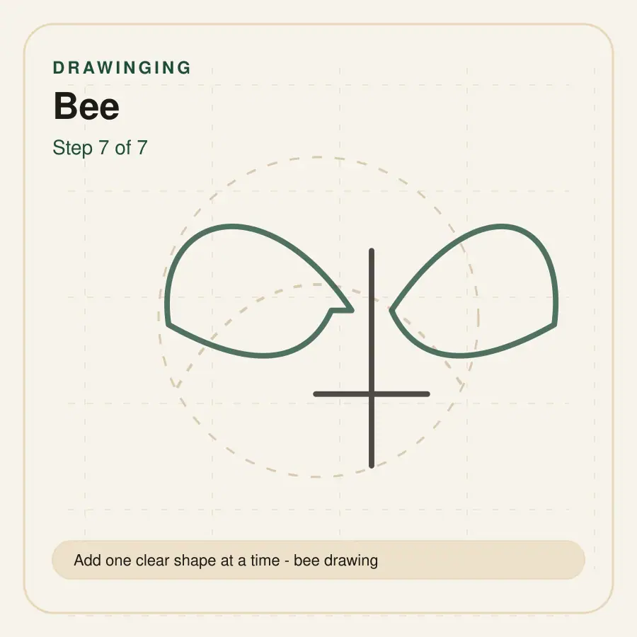 bee drawing step 7