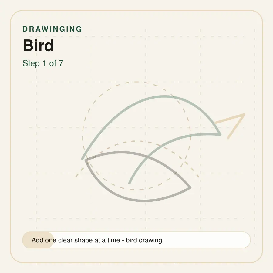 bird drawing step 1