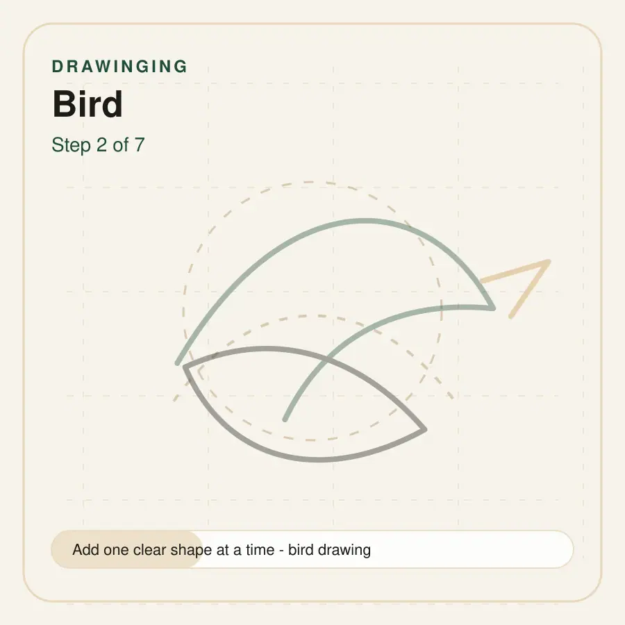 bird drawing step 2