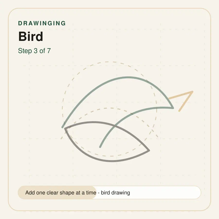 bird drawing step 3