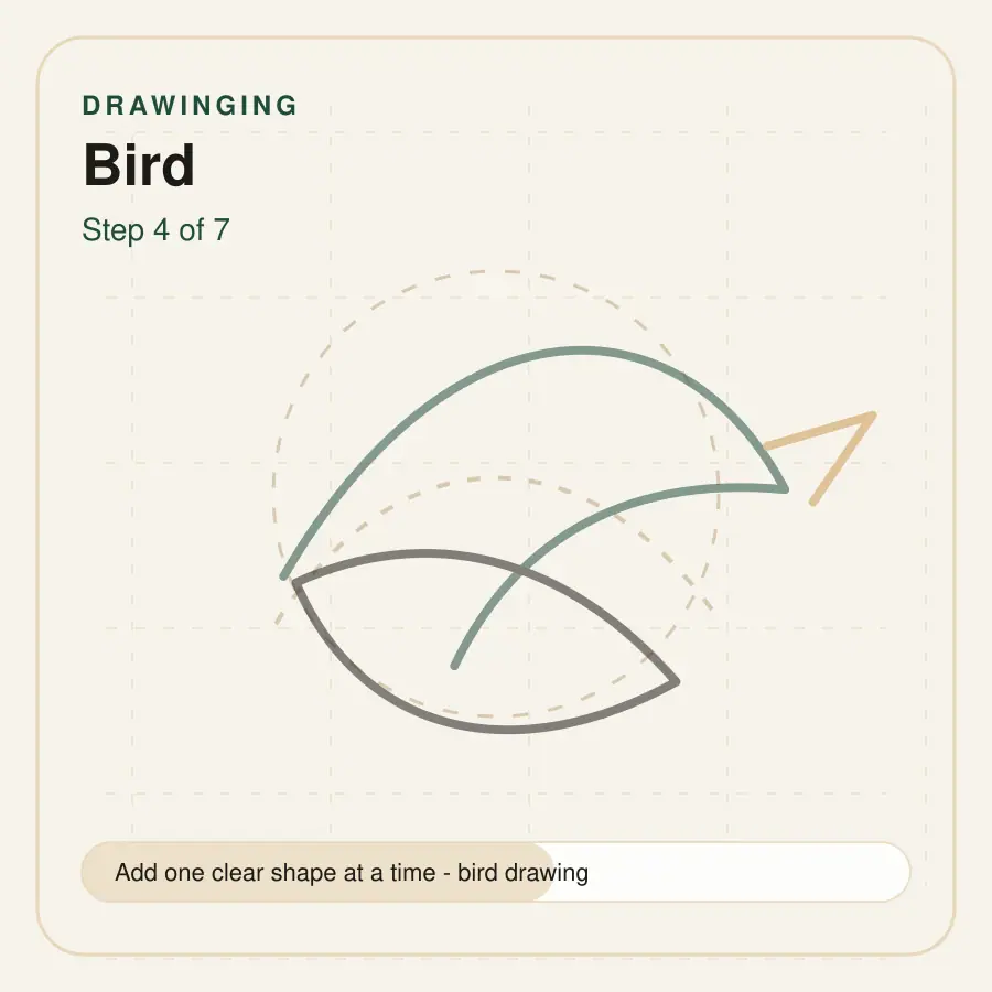 bird drawing step 4