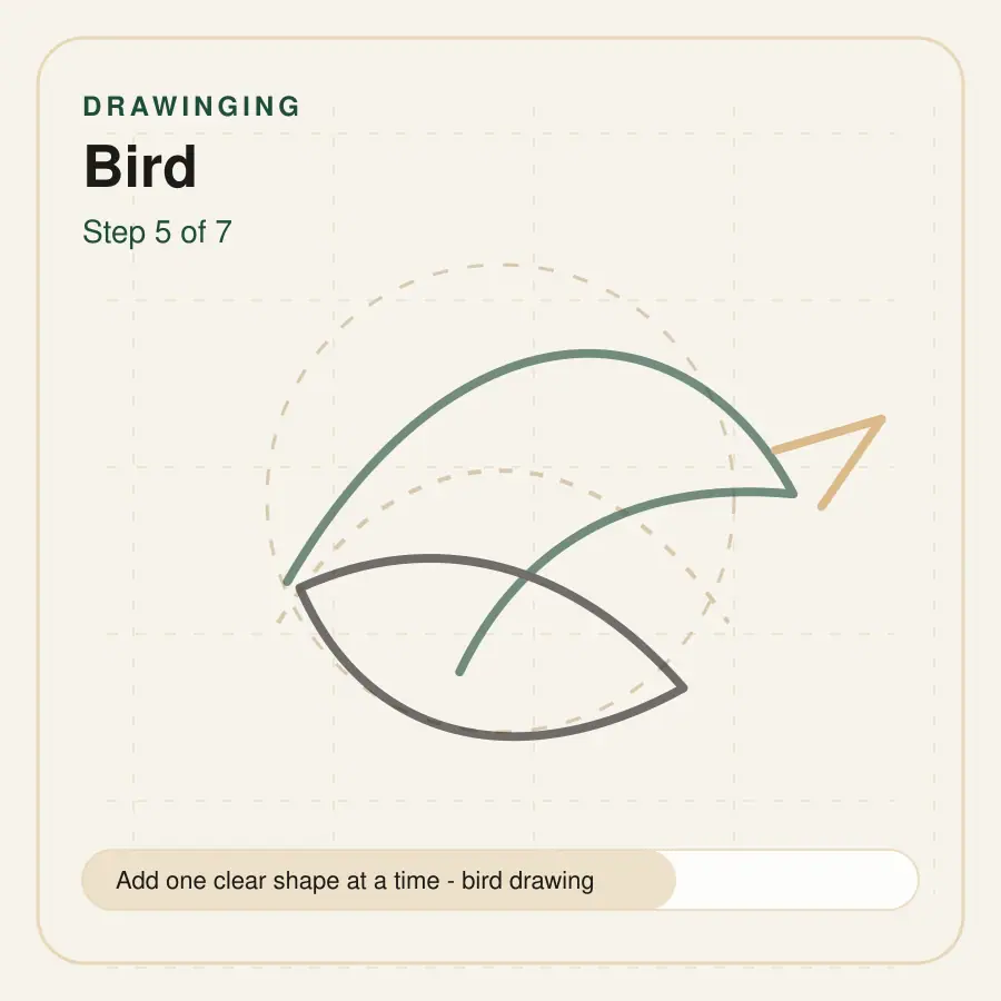 bird drawing step 5