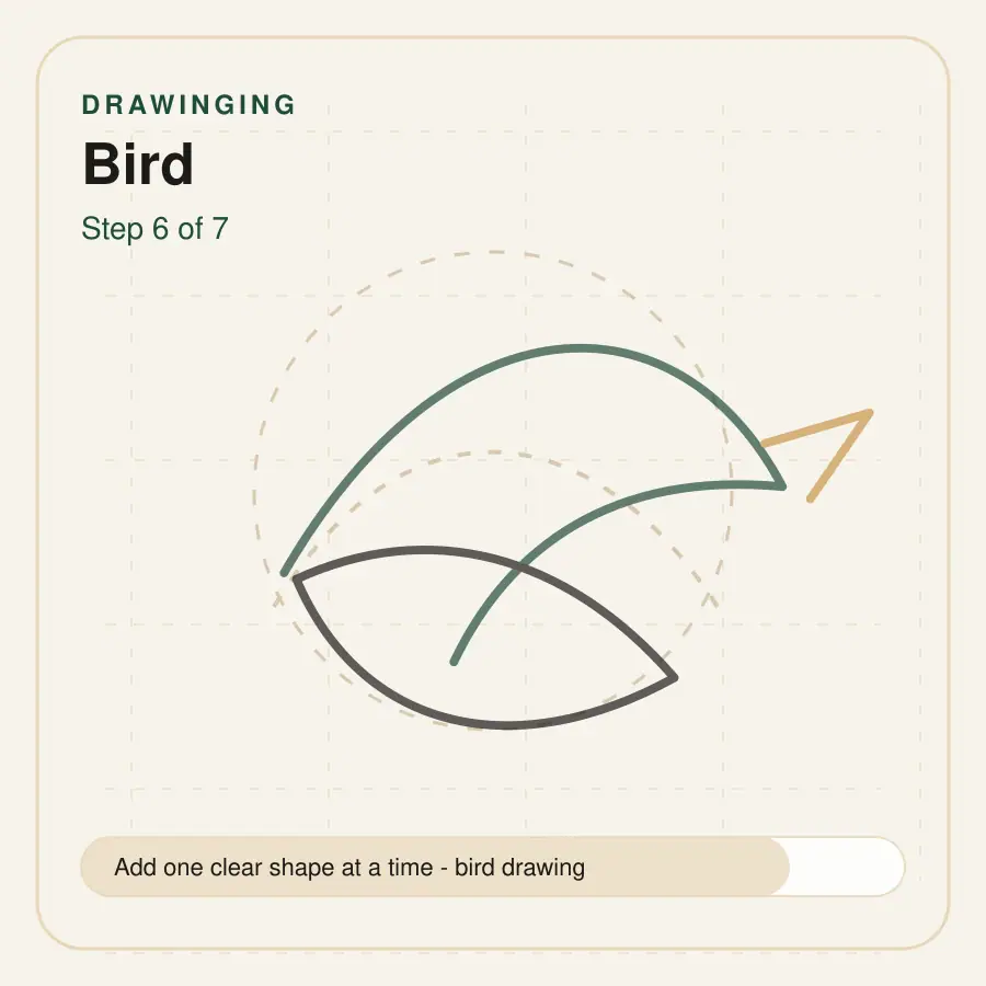 bird drawing step 6