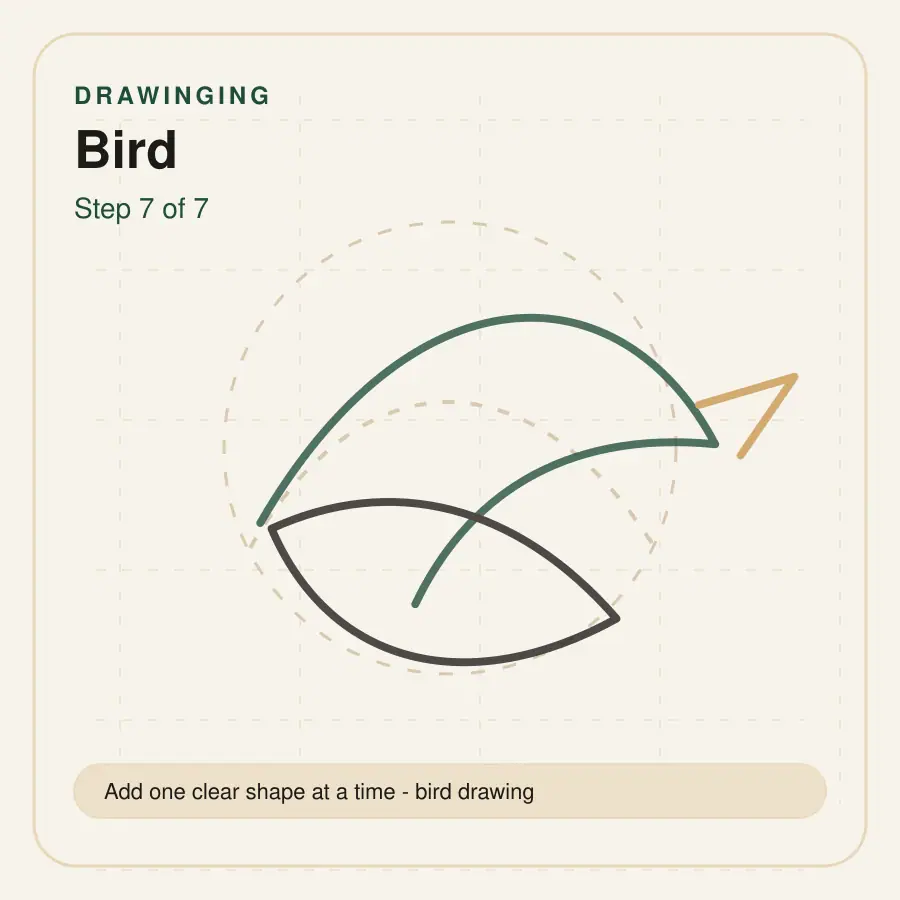 bird drawing step 7