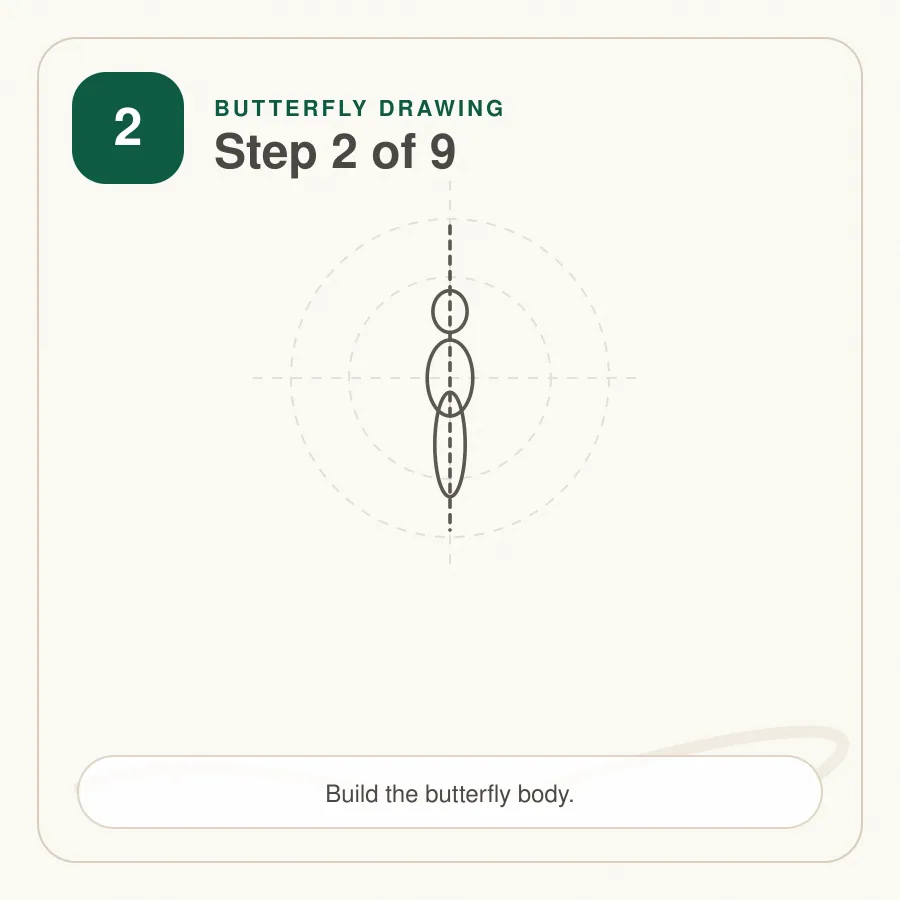 butterfly drawing step 2