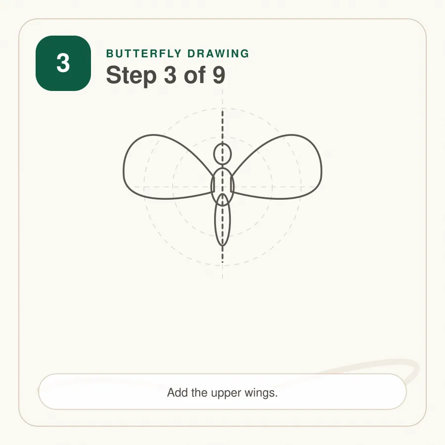 butterfly drawing step 3