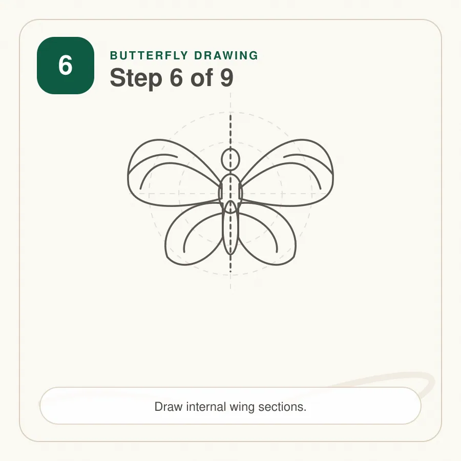 butterfly drawing step 6