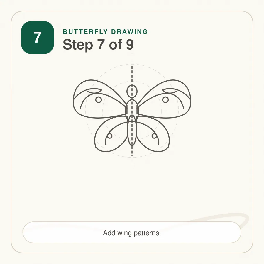 butterfly drawing step 7