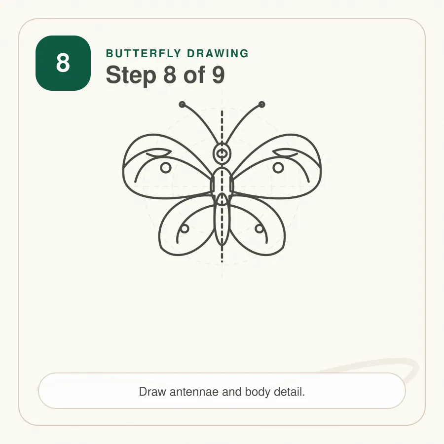 butterfly drawing step 8 antennae and body details