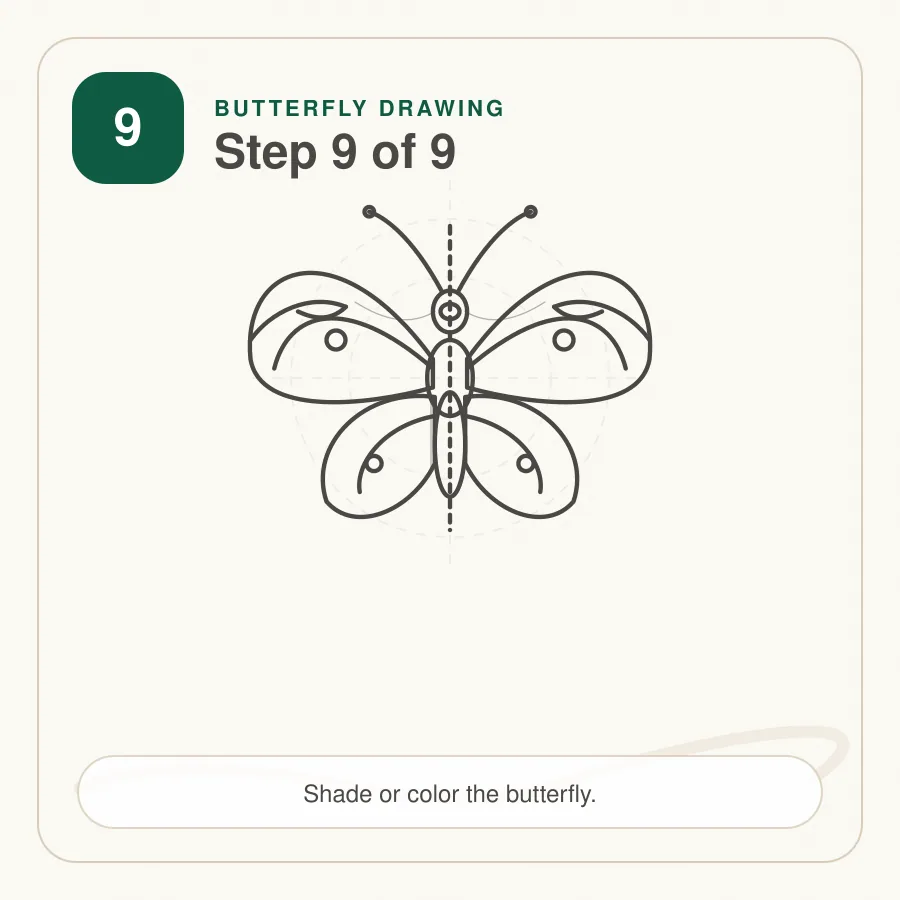 butterfly drawing step 9 shading and color