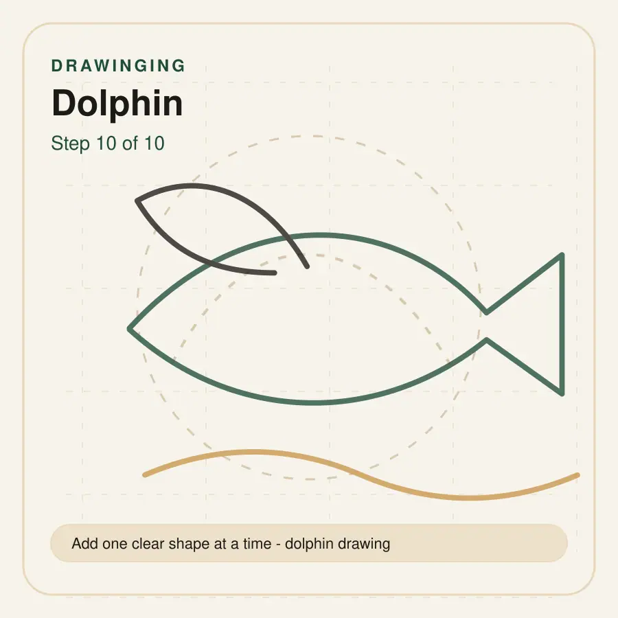 dolphin drawing step 10