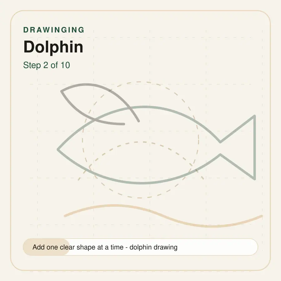 dolphin drawing step 2