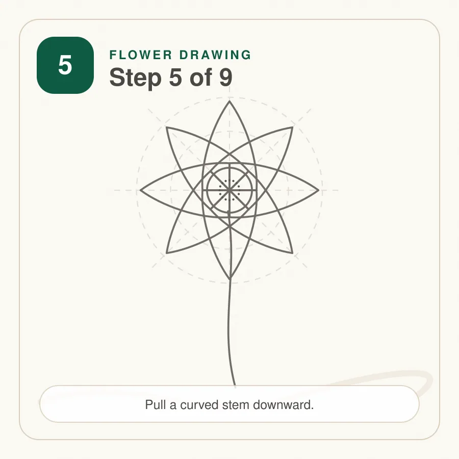 flower drawing step 5 flower drawing step 5 curved stem