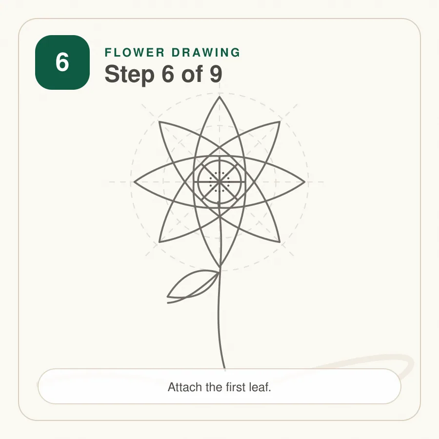 flower drawing step 6 flower drawing step 6 first leaf