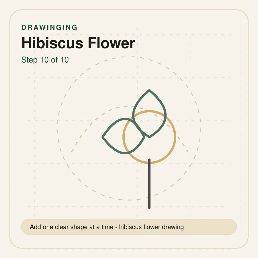hibiscus flower drawing step 10