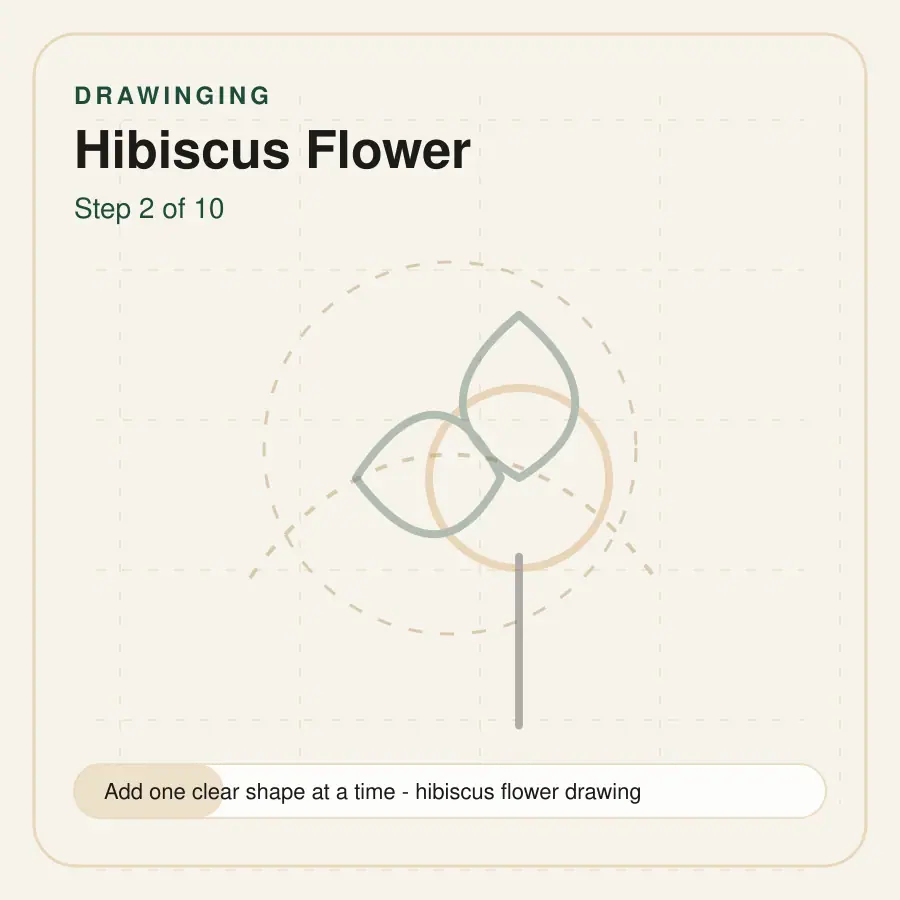 hibiscus flower drawing step 2