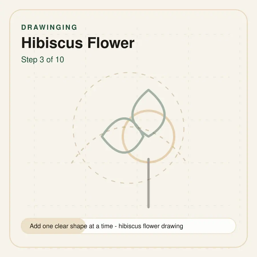 hibiscus flower drawing step 3