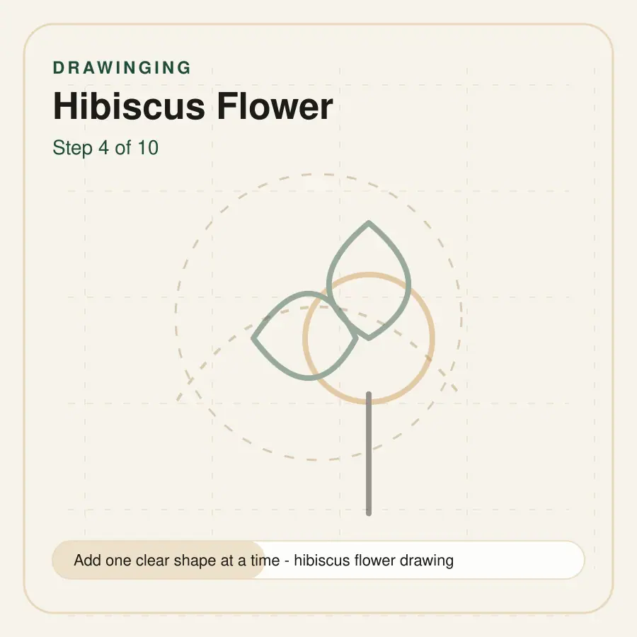 hibiscus flower drawing step 4