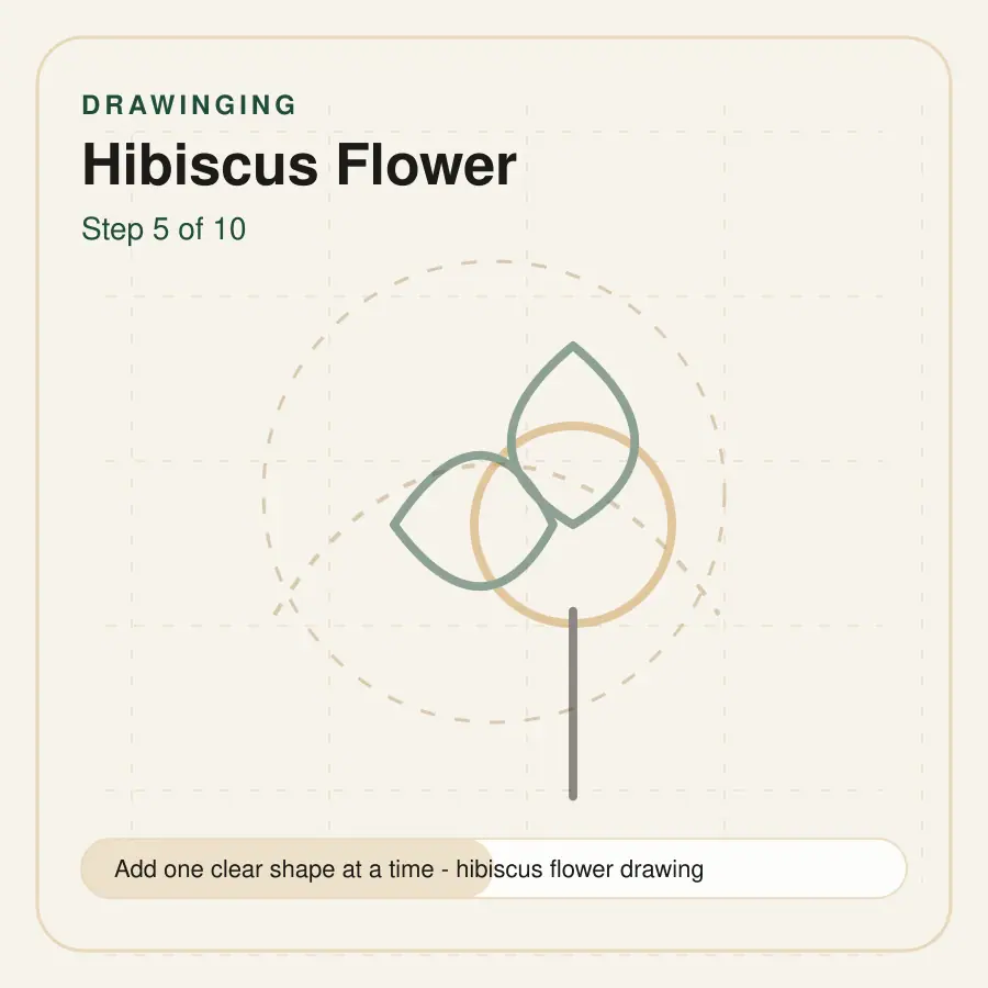 hibiscus flower drawing step 5