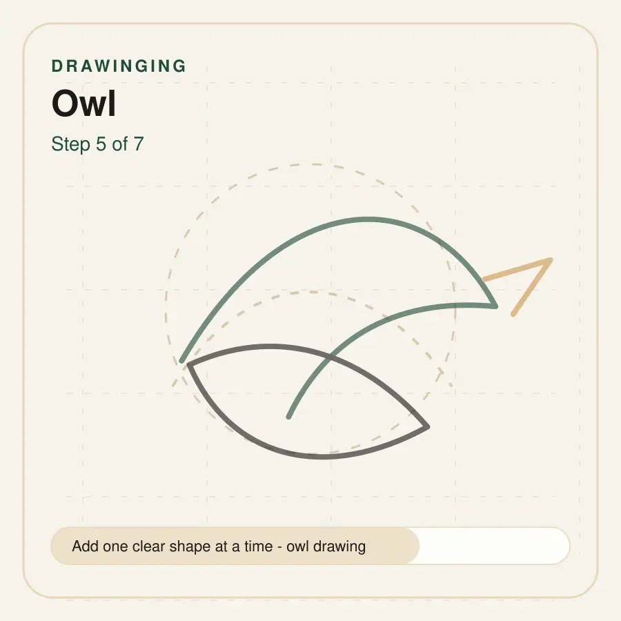 owl drawing step 5