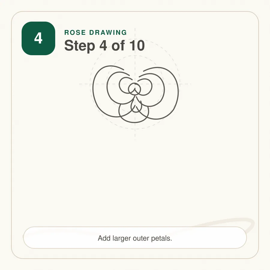 rose drawing step 4