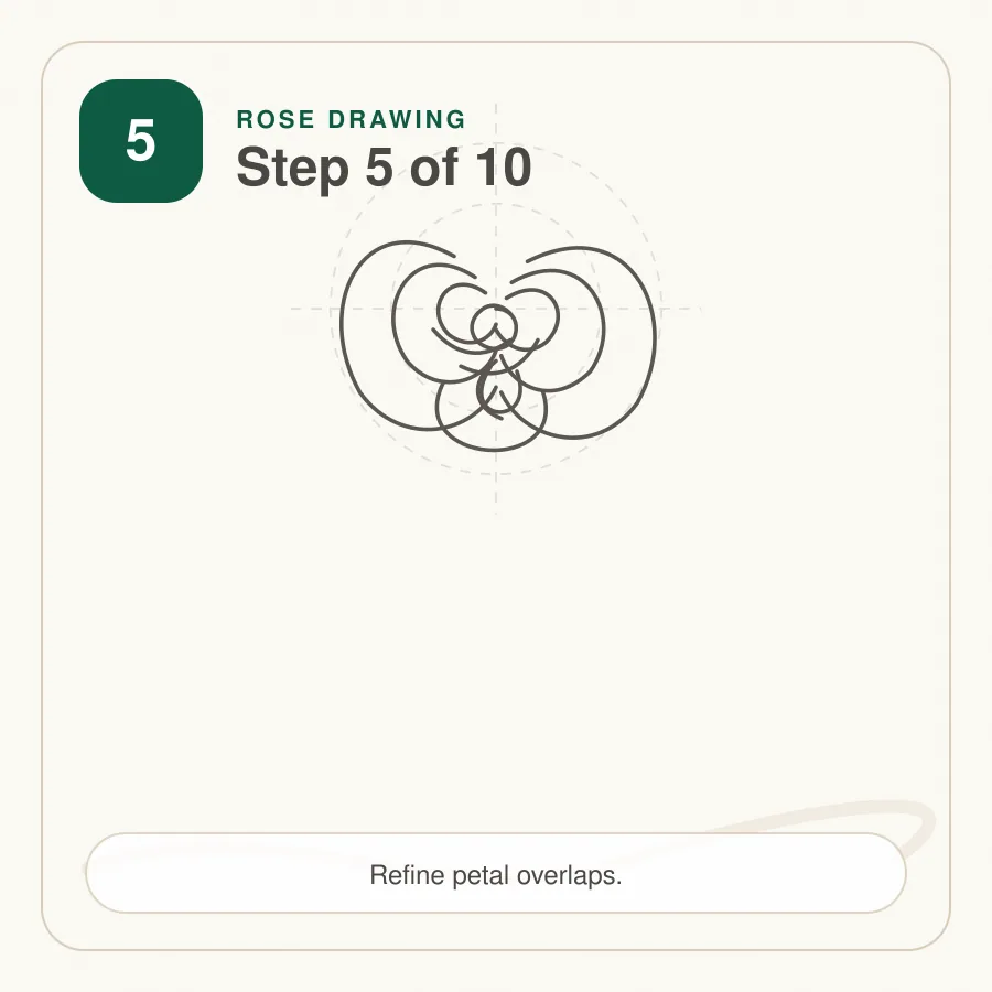 rose drawing step 5