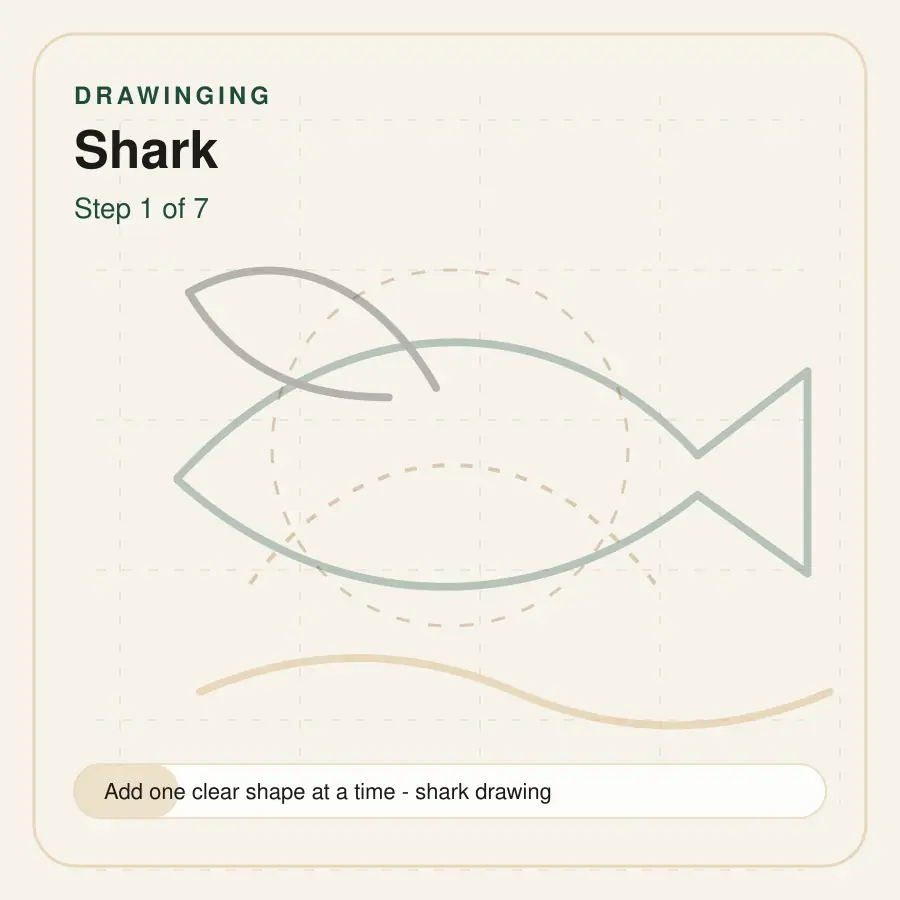 shark drawing step 1