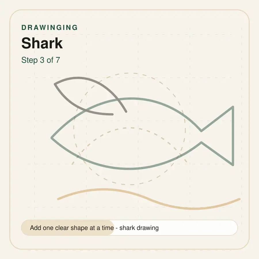 shark drawing step 3