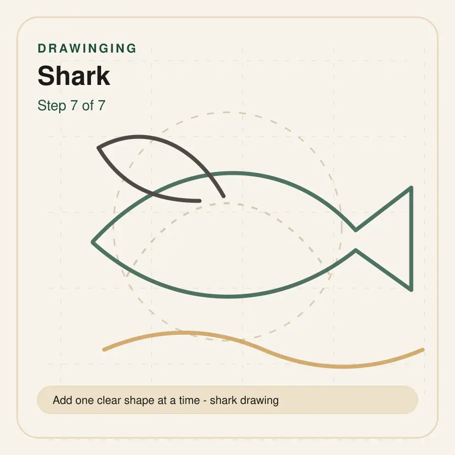 shark drawing step 7