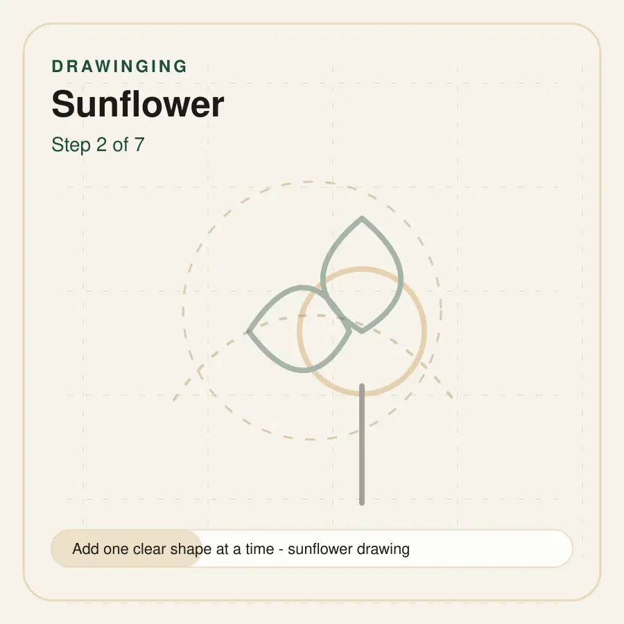 sunflower drawing step 2