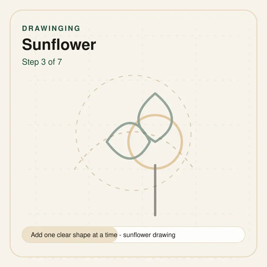 sunflower drawing step 3