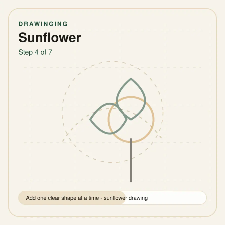 sunflower drawing step 4