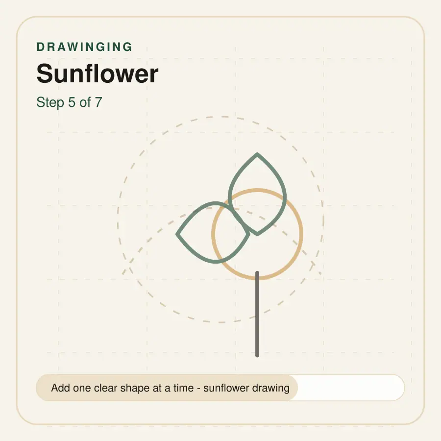 sunflower drawing step 5