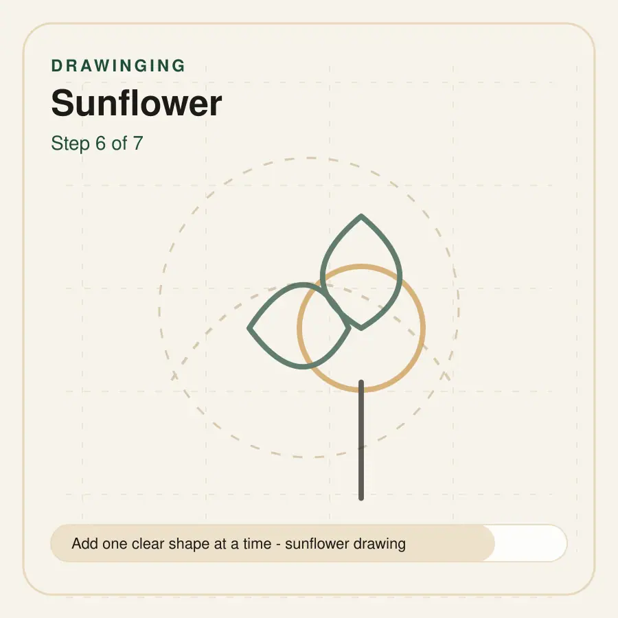sunflower drawing step 6