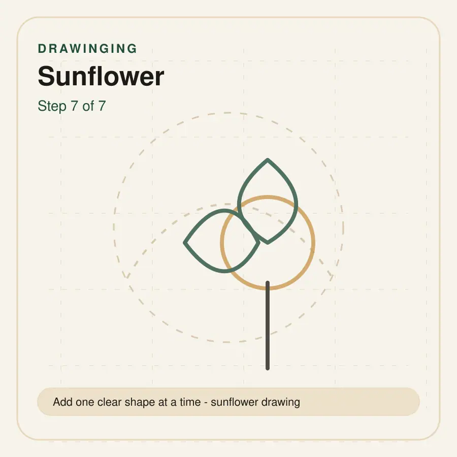 sunflower drawing step 7