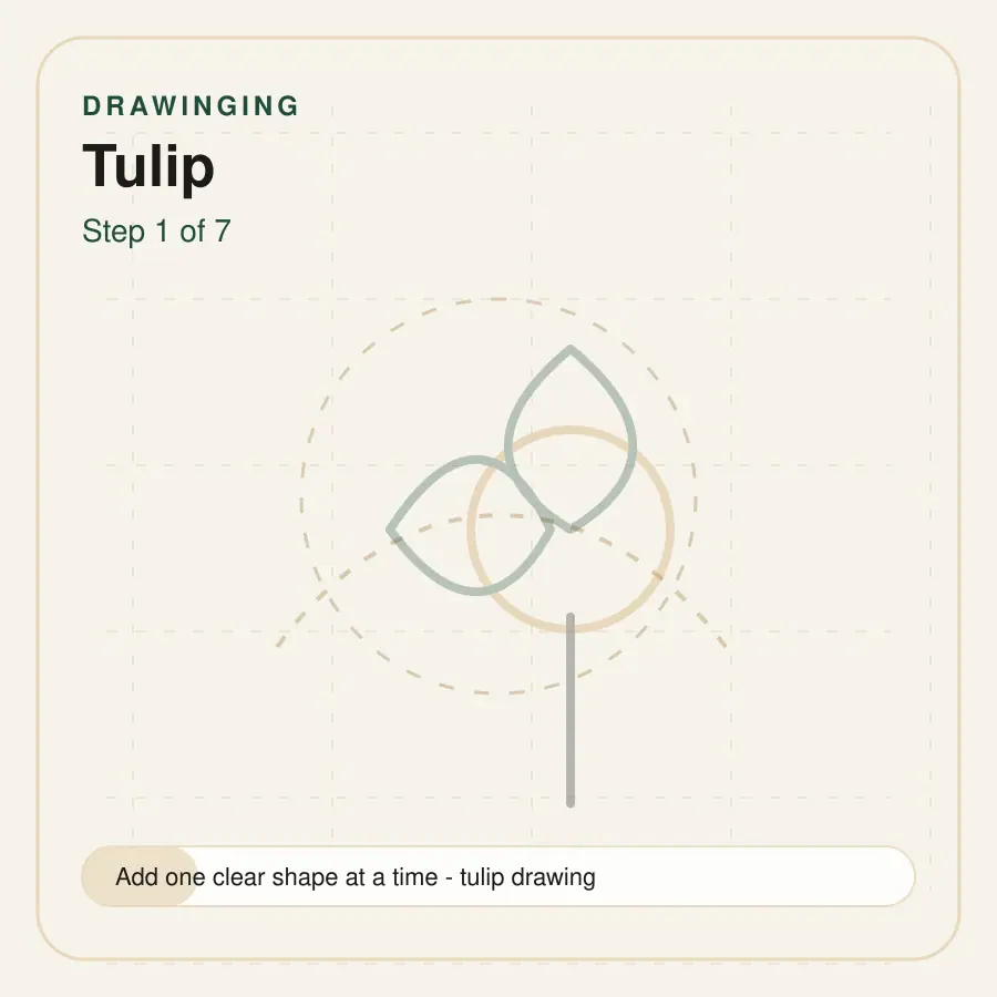 tulip drawing step 1