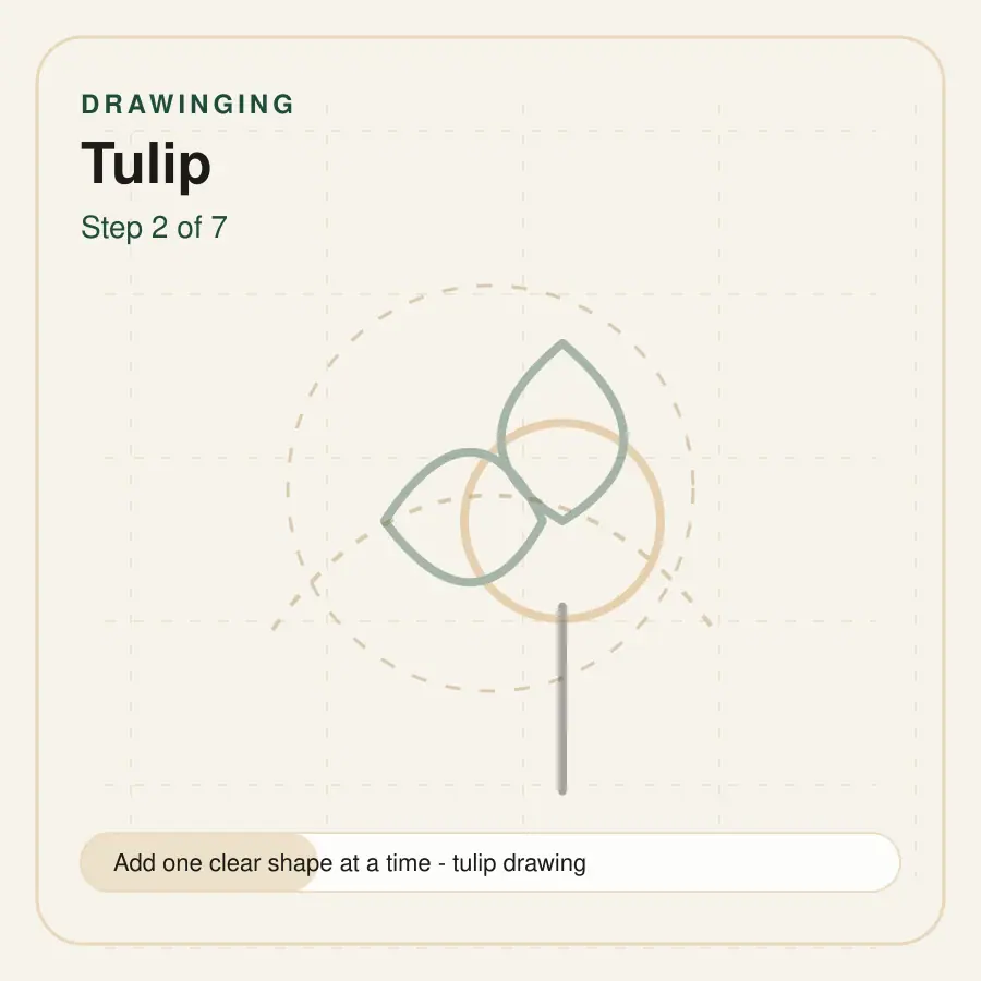 tulip drawing step 2