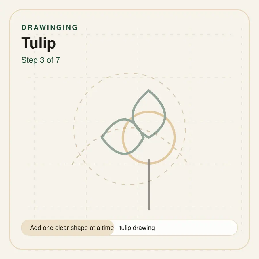 tulip drawing step 3