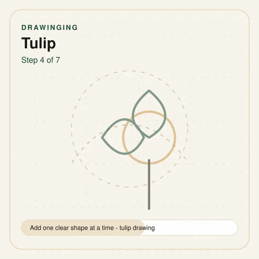 tulip drawing step 4