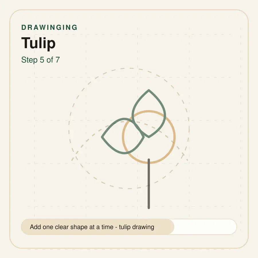 tulip drawing step 5