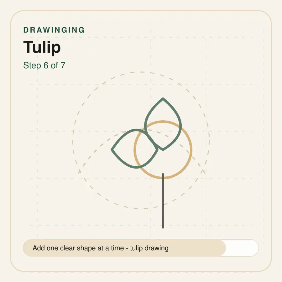 tulip drawing step 6