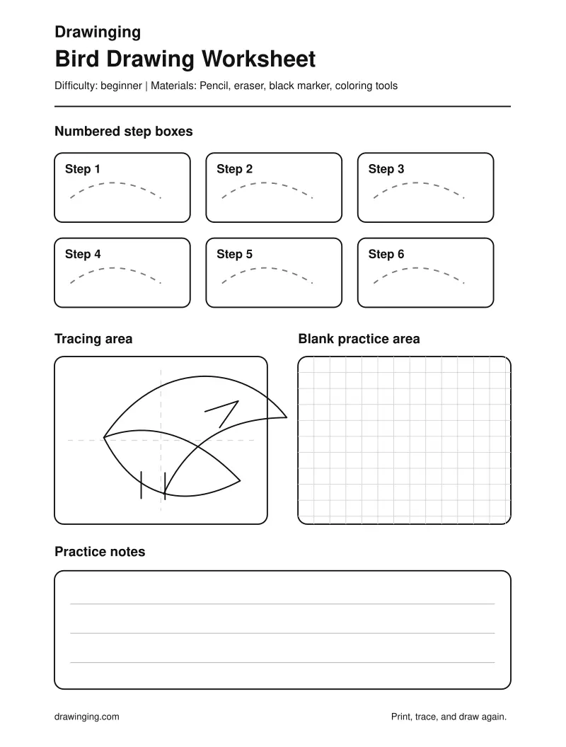 Bird Drawing Worksheet
