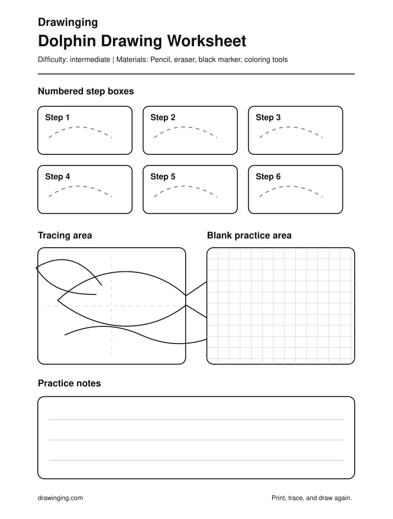 Dolphin Drawing Worksheet