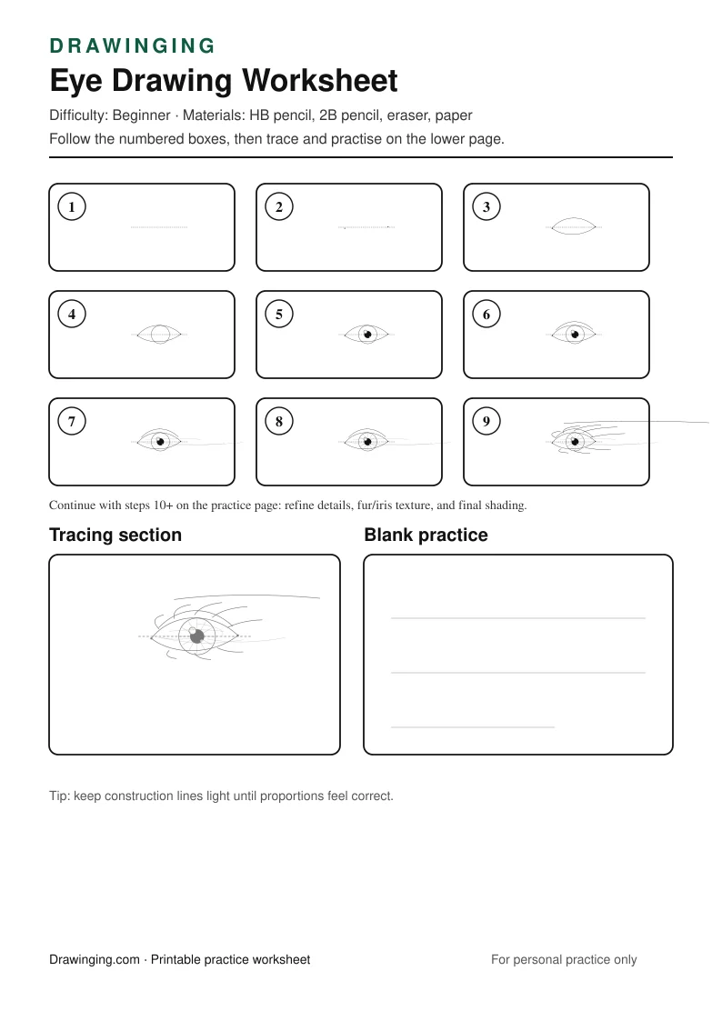 Eye Drawing Worksheet