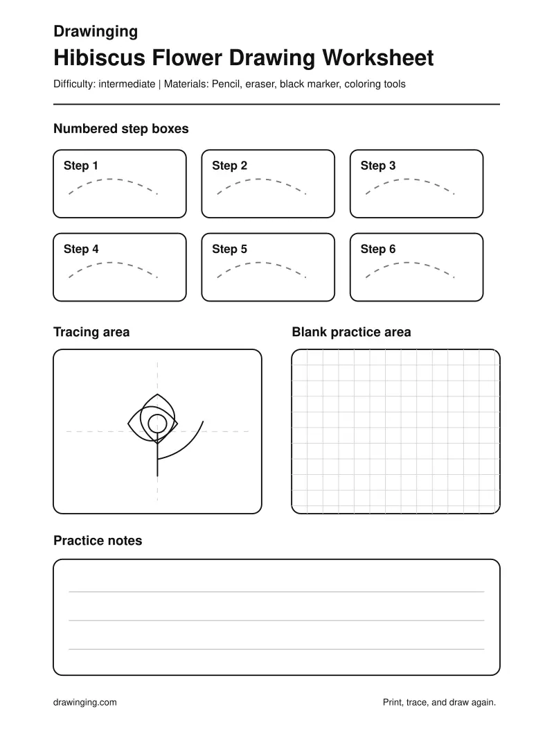 Hibiscus Flower Drawing Worksheet
