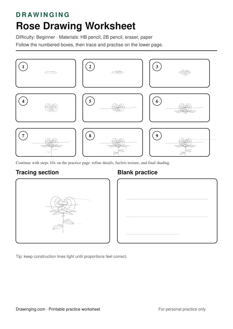 Rose Drawing Worksheet