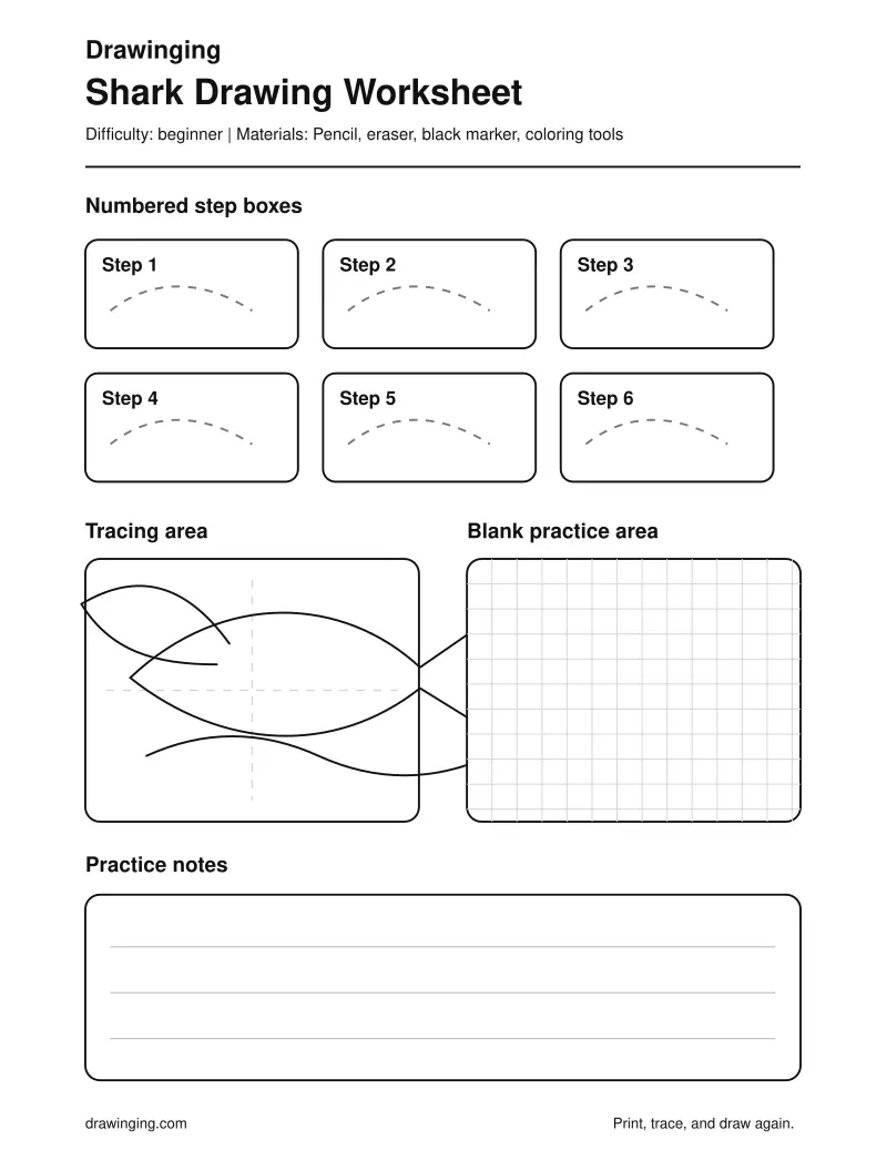 Shark Drawing Worksheet